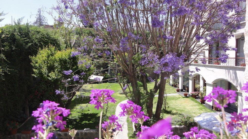Hotel Boutique Villa Elisa Arequipa Exteriör bild